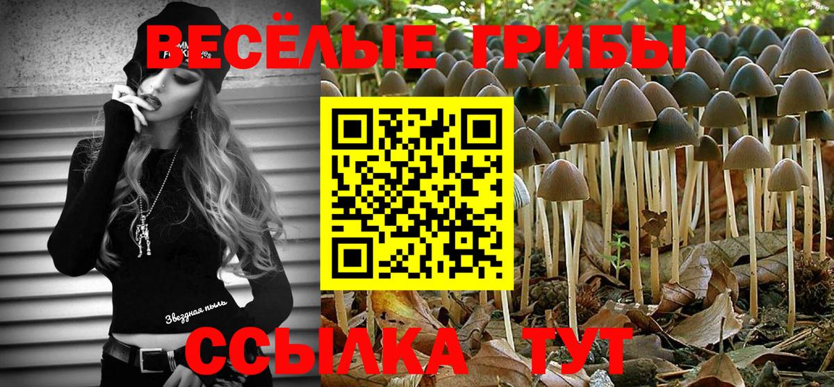 Галлюциногенные грибы мухоморы Ростов Великий