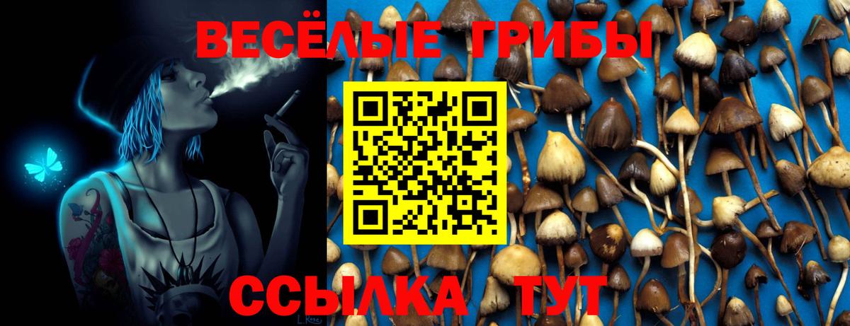 Ростов Великий  Галлюциногенные грибы мицелий  Вход с VPN 